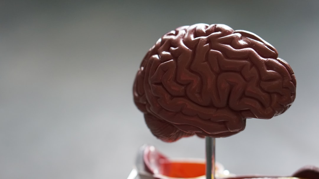 Calo della memoria: perché chiedere aiuto conta